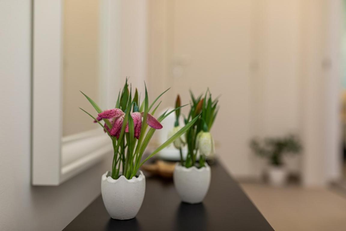 Apartman Grzetic Šilo Esterno foto